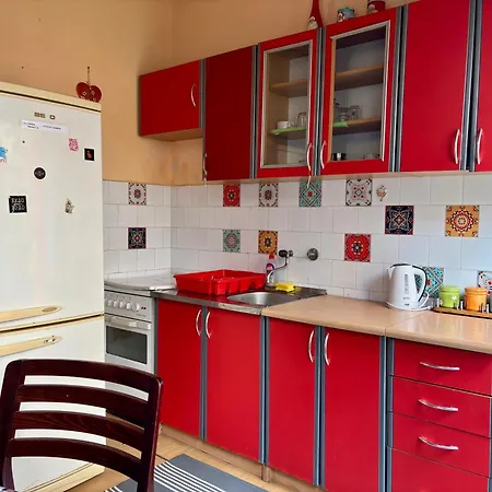 Vracar Affordable - Vracar Povoljni Stanovi Apartment *