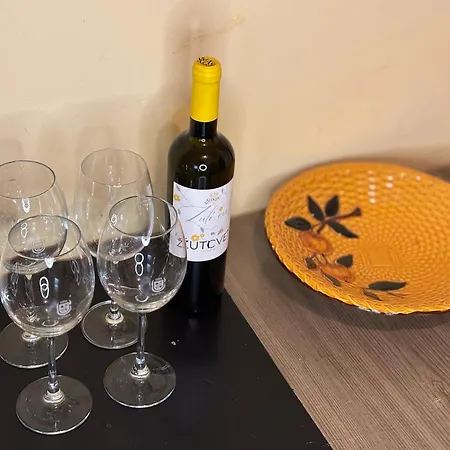 Apartment Vracar Affordable - Vracar Povoljni Stanovi Belgrade