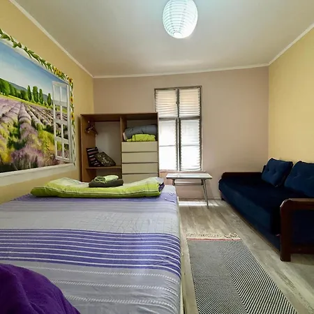 Apartment Vracar Affordable - Vracar Povoljni Stanovi