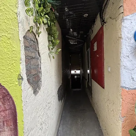 Apartment Vracar Affordable - Vracar Povoljni Stanovi *