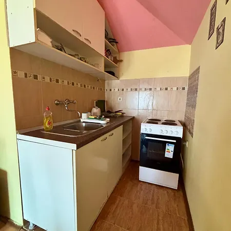 Apartment Vracar Affordable - Vracar Povoljni Stanovi