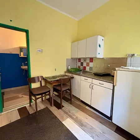 Apartment Vracar Affordable - Vracar Povoljni Stanovi Belgrade