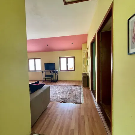 Apartment Vracar Affordable - Vracar Povoljni Stanovi